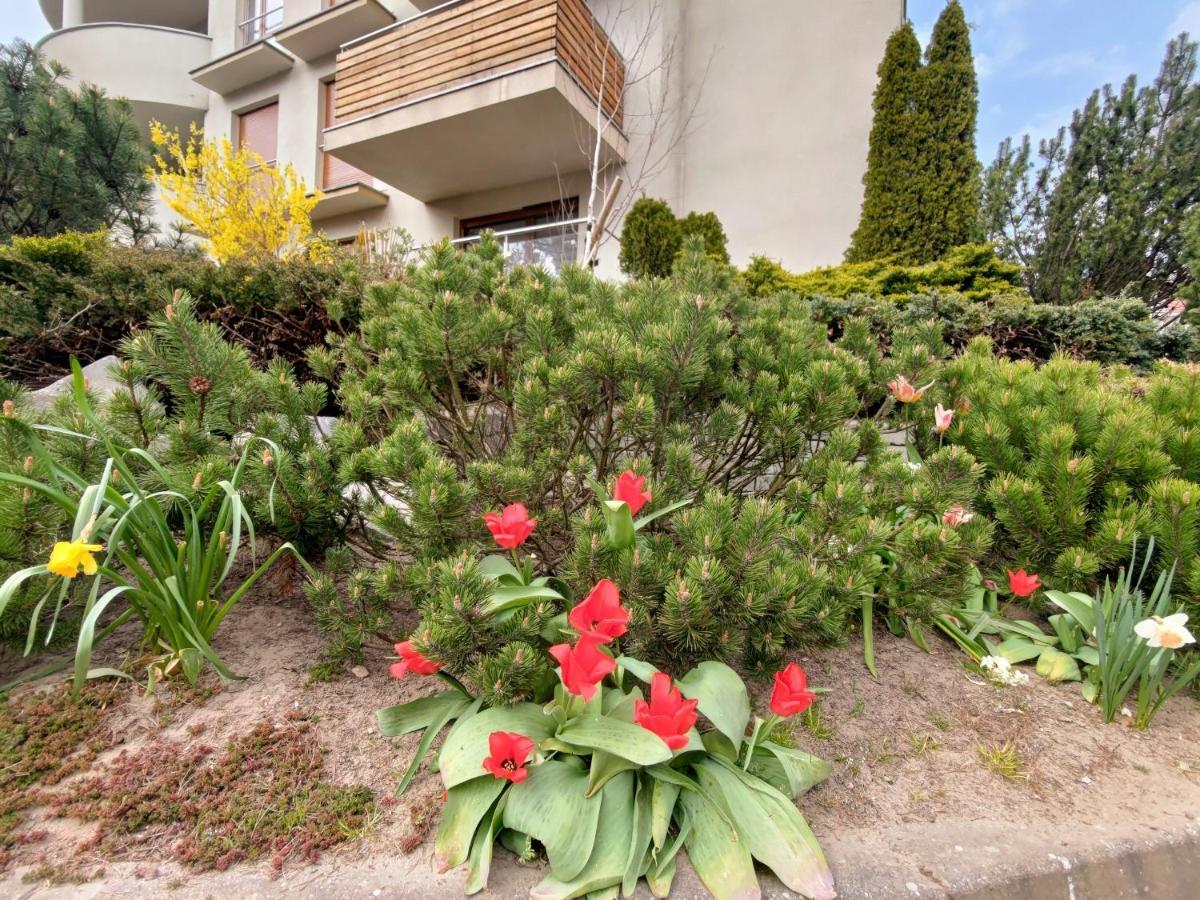 Komfortowy Apartament Dwupokojowy Z Tarasem I Garaz อุสตกา ภายนอก รูปภาพ