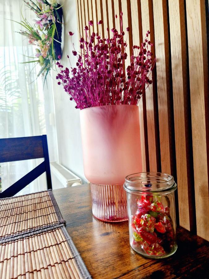 Komfortowy Apartament Dwupokojowy Z Tarasem I Garaz อุสตกา ภายนอก รูปภาพ